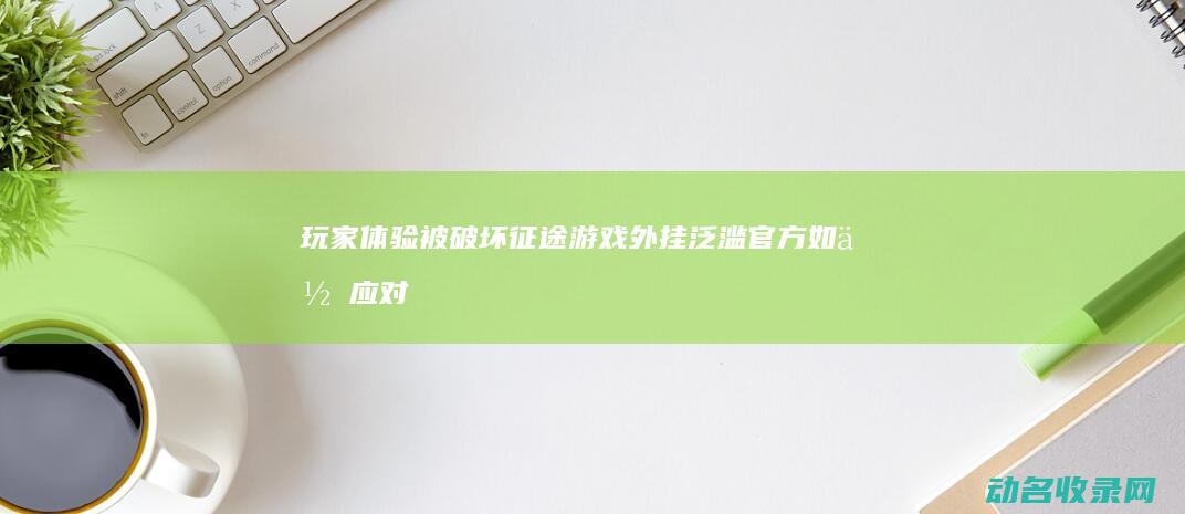 玩家体验被破坏 征途游戏外挂泛滥 官方如何应对 (体验玩家什么意思)