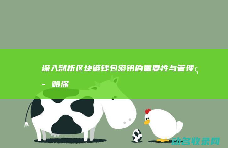 深入剖析密钥的重要性与管理深