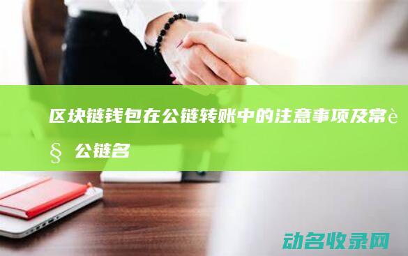 区块链钱包在公链转账中的注意事项及常见公链名称解析 (区块链钱包在境外登录)